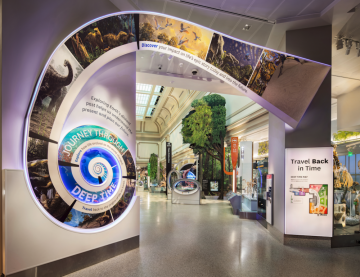 Reich&Petch completes the Smithsonian Institution’s new David H. Koch Hall of Fossils – Deep Time ©Reich&Petch/Chris Payne Reich&Petch completes the Smithsonian Institution’s new David H. Koch Hall of Fossils – Deep Time ©Reich&Petch/Chris Payne